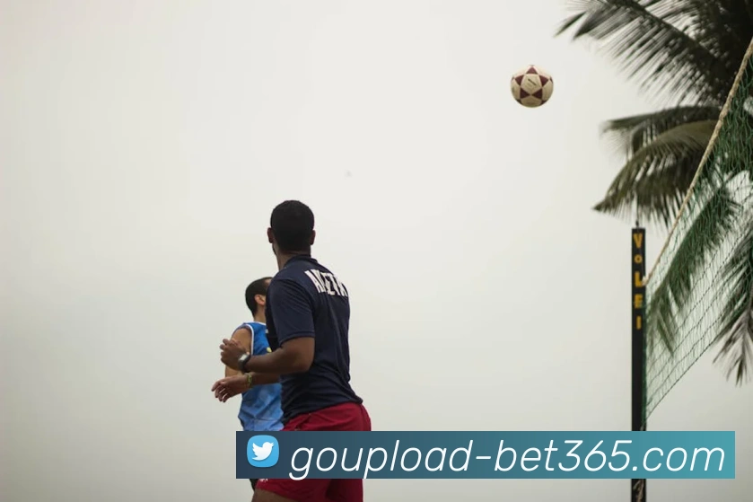 App Interface Preview